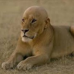 Putti í rassinn (ft. Björk).wav