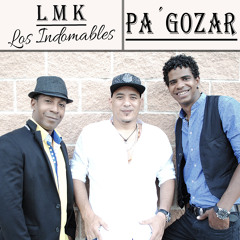 LMK Los indomables - Pa´Gozar