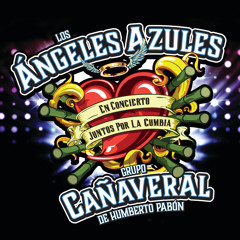 Tiene Espinas El Rosal (Live - Desde El Auditorio Nacional/ 2014) [feat. Jenny And The Mexicats]