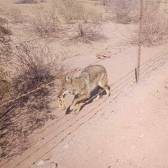 DE ESTE LADO DE EL NORO