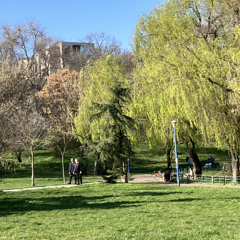 2024 mar 23 - field recording - sunny park