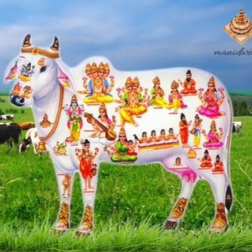 All Gods And Goddesses Embedded In The Brahmi Cow - Telugu  -Dec 12, 2021