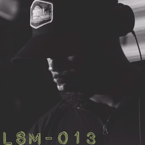 LSM - 013