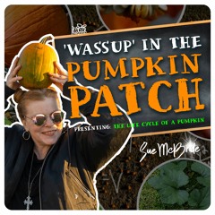 Wassup In The Pumpkin Patch
