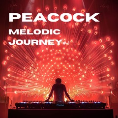 Peacock - Melodic Journey Nr. 1