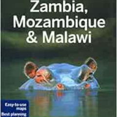[FREE] EPUB 📙 Lonely Planet Zambia, Mozambique & Malawi (Travel Guide) by Lonely Pla