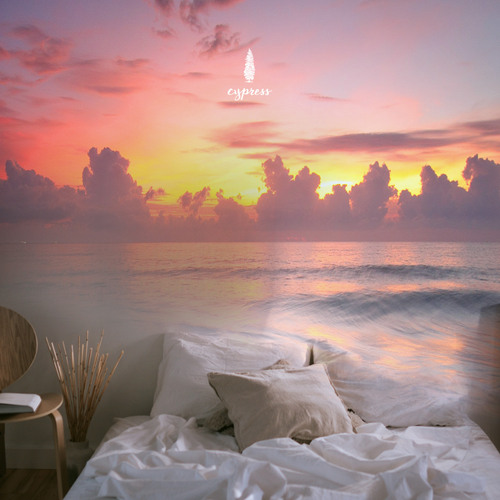 하이든 : 트럼펫 협주곡 내림 마장조 – 3악장 Haydn : Trumpet Concerto In E Flat Major Hob.VIIe-1 – III. Allegro