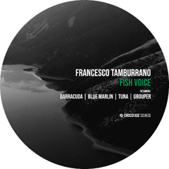 Francesco Tamburrano - Barracuda [Crossfade Sounds]