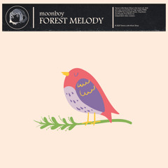 Forest Melody