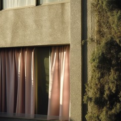 TransPREMIERE