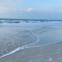 حـص البحـَر 🐚