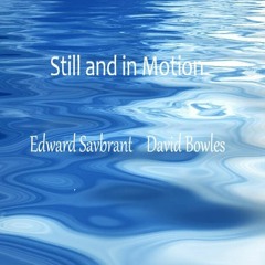 Still And In Motion