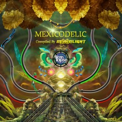 MOKSHA SPINE LIGHT    (Timelapse Records)