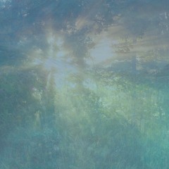 Echoes of Quiet