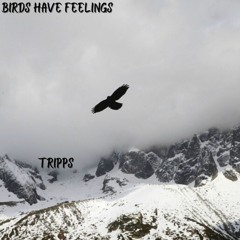 Birds Have Feelings