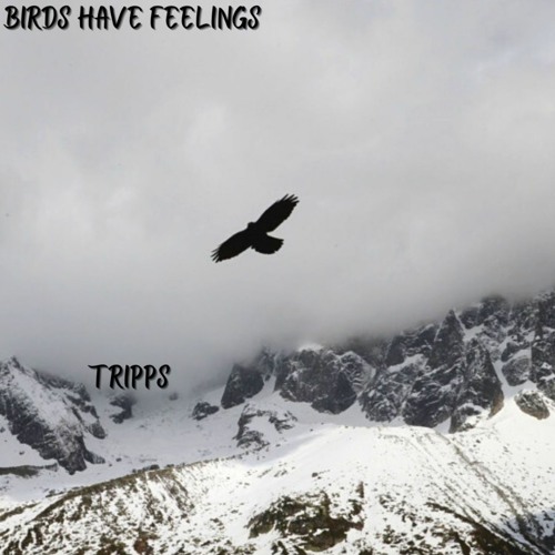 Birds Have Feelings