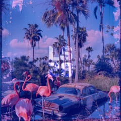 Tropical Horizon