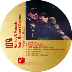 Won't Go Back (Mo'cream Remix) [feat. Robert Owens]