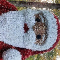 Best Dream i´ve ever had