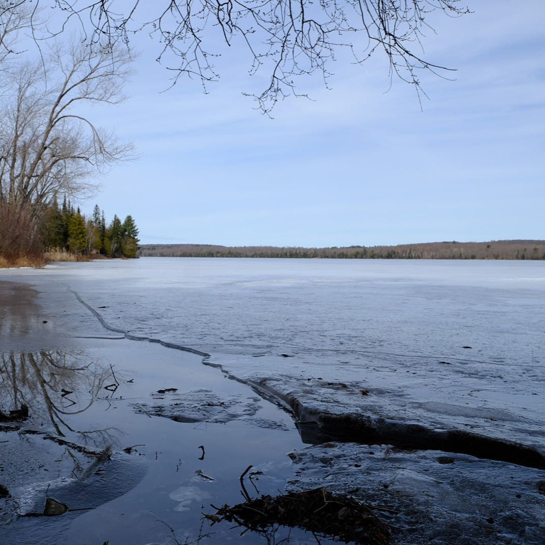 Stream Lake Ice And Birds by Arnie Naiman | Listen online for free on ...