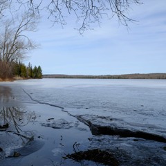 Lake Ice And Birds