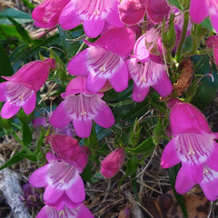 02 - Out There  dj 3 20 24  update  ruff demo bpm105