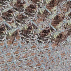 BIG HANDS - THE VULGARITY OF SNOW (TEETH003)