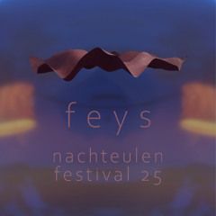 feys @ nachteulen festival 2025