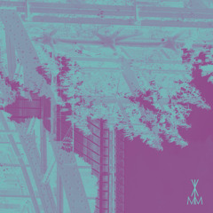 Vlimmer - Cystacanca