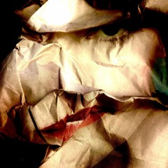 HSM PREMIERE | Fish Go Deep - You Came Into My Life