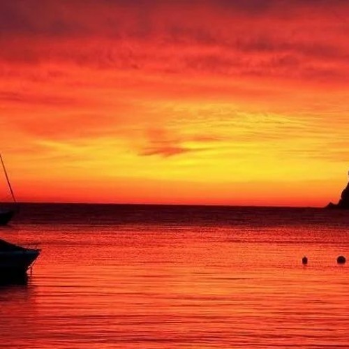 Dusza play background 👩FREE DOWNLOAD