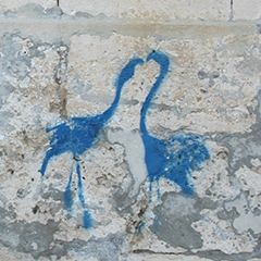 Who Lights The Moon?