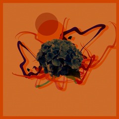 Premiere: Espinoza Espinoza - AudS  [Teorema]