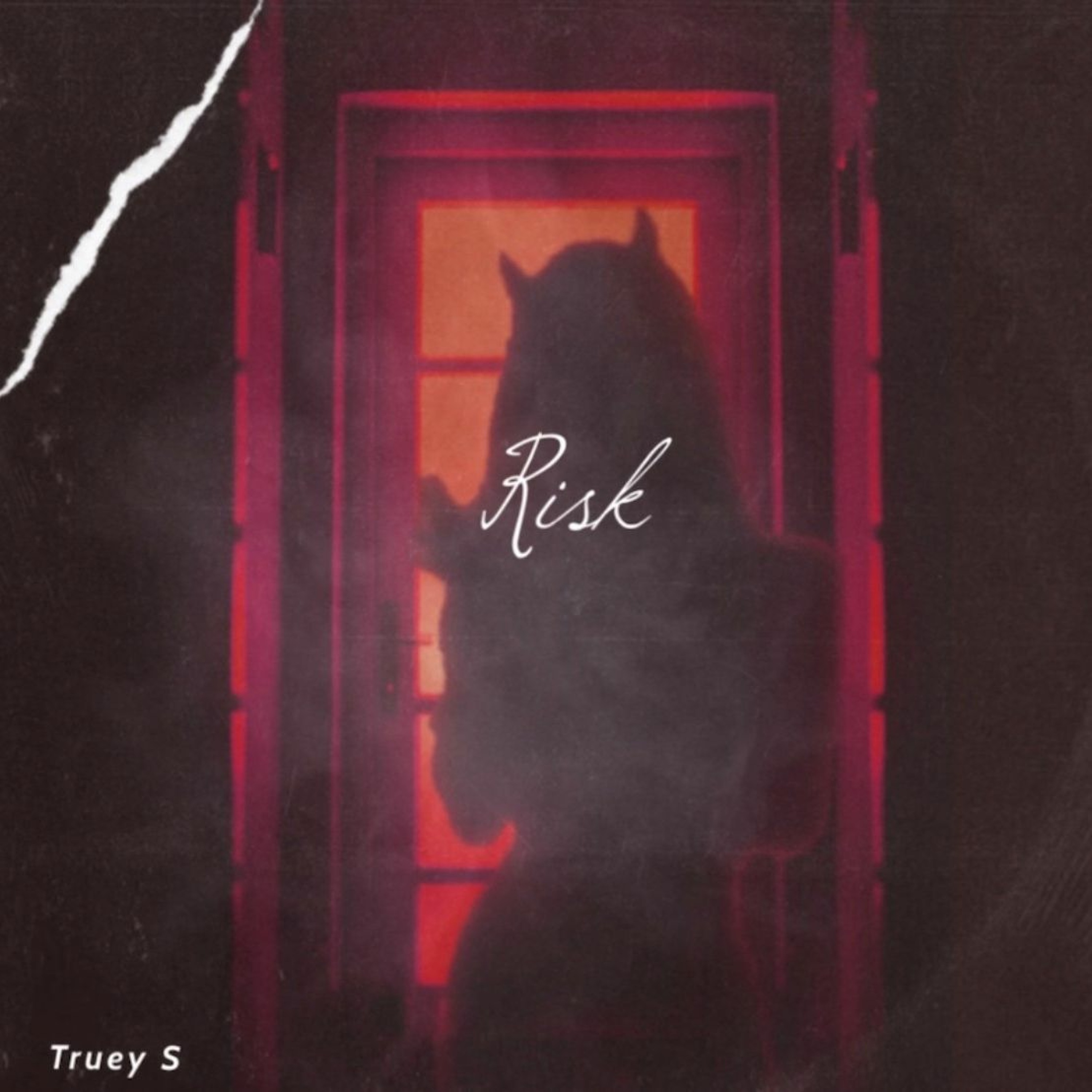 Truey S - Risk episode artwork