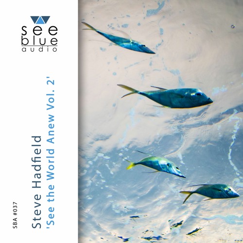 'See the World Anew Vol. 2' (preview) - Steve Hadfield (See Blue Audio SBA #037)