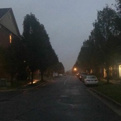 osquinn / p4rkr - Did You Know