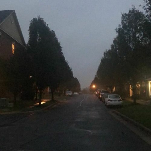 osquinn / p4rkr - Did You Know