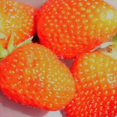 Strawberry Jam
