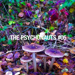 THE PSYCHONAUTS #5 - Radio Raheem 30.11.2021