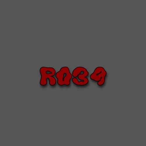 R039