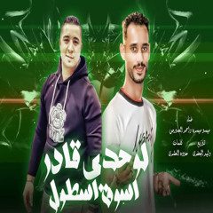 مهرجان لوحدى قادر اسوق اسطول