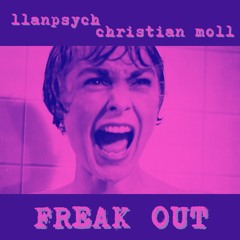 Freak Out - Llanpsych and Christian Moll