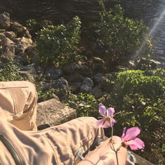 Close Friends Remix Ft Kut Thr0at Key