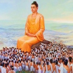 Đêm Trằn Trọc Nghe Ít Phút, Tâm Bớt Nghĩ Nhiều Cuộc Sống Sẽ An Vui Mới Hạnh Phúc Được- Lời Phật Dạy