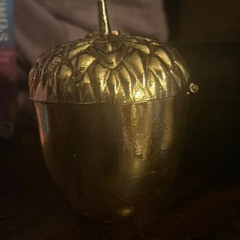 The GoldNut Of Belize