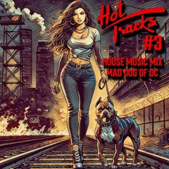 Hot Tracks #3 - House Music Mix
