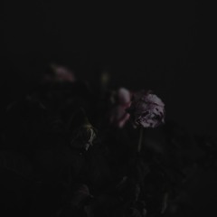 Catharsis (Prod. loneliness)