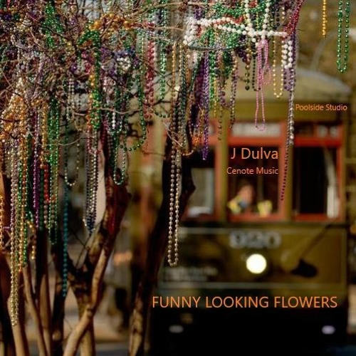Funny Looking Flowers [06 - J Dulva ] (Jack Miller)