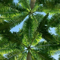 (pol form background - Free Download