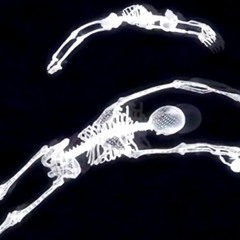 Tyler, the Creator - Where This Flower Blooms (Slowed + Reverb)